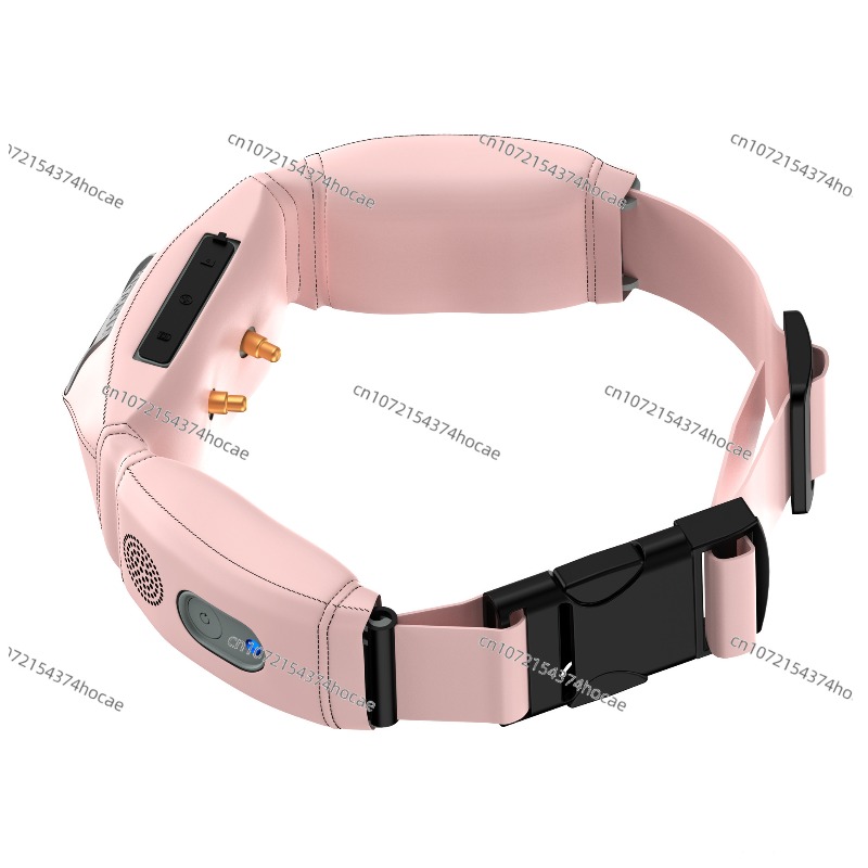 4G GPS Evcil Hayvan Takip Ciha - Dog Gps Tracker Collar 4G Waterproof incelemesi ve fiyatı