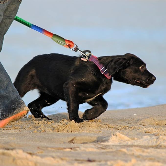 Ayarlanabilir Eller Serbest Kö - Hands Free Dog Running Leash Waist Belt incelemesi ve fiyatı