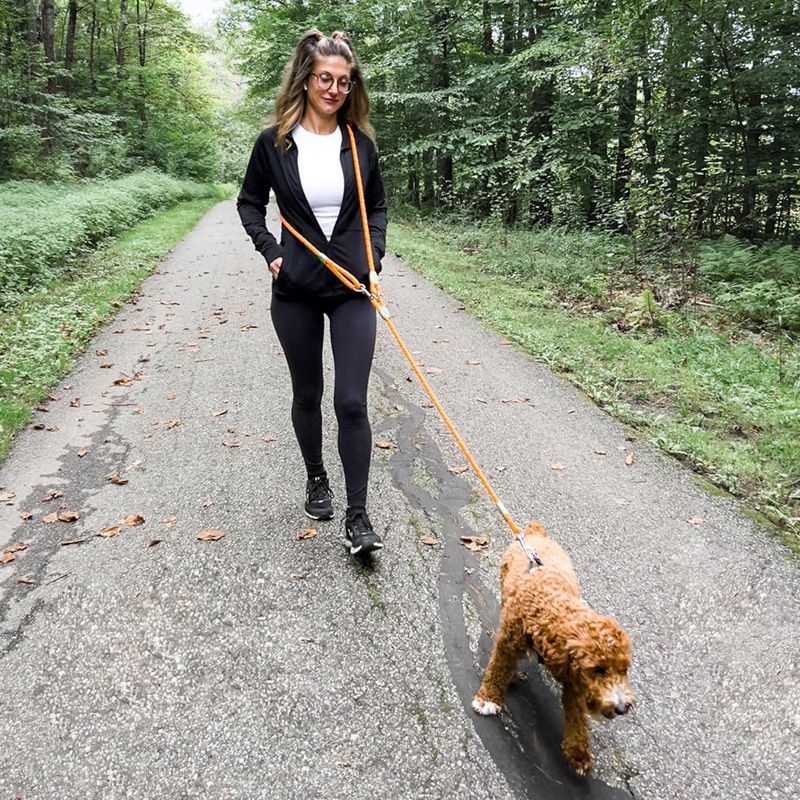 Ayarlanabilir Eller Serbest Kö - Hands Free Dog Running Leash Waist Belt incelemesi ve fiyatı