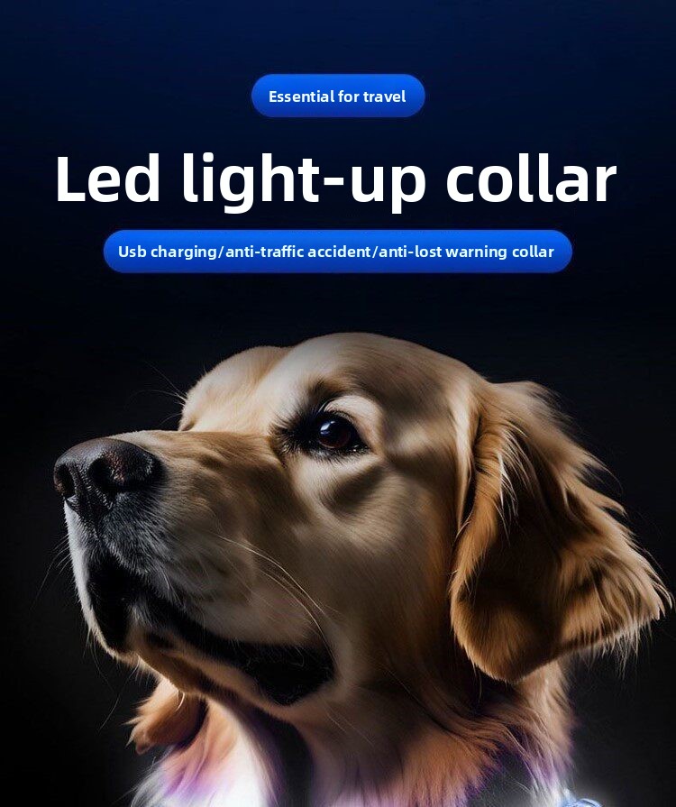 Parlayan Köpek Tasması Gece Yü - Led Dog Collar Glowing Rechargeable Usb incelemesi ve fiyatı