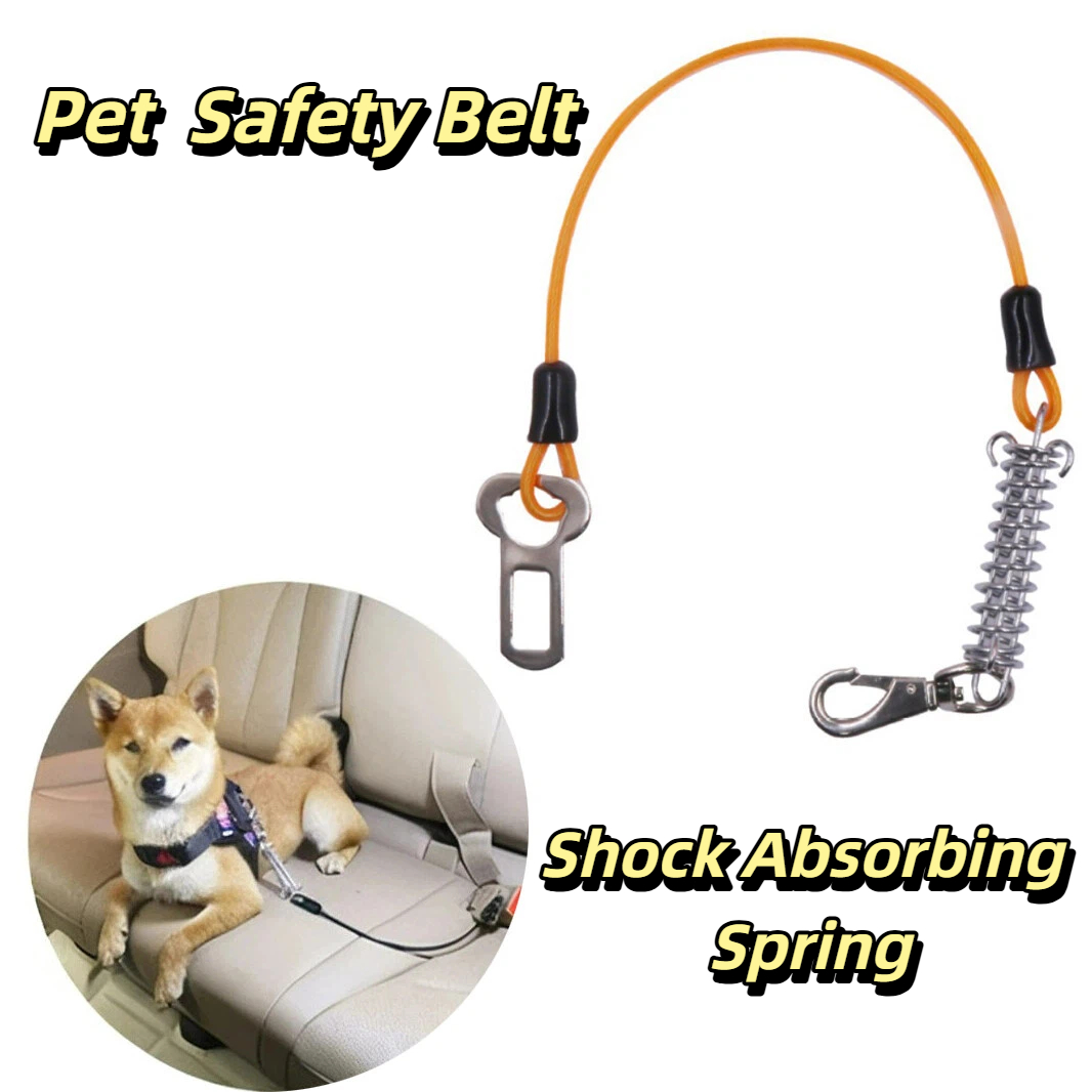 Çiğneme Dayanıklı Evcil Hayvan - Bungee Dog Leash Shock Absorbing incelemesi ve fiyatı