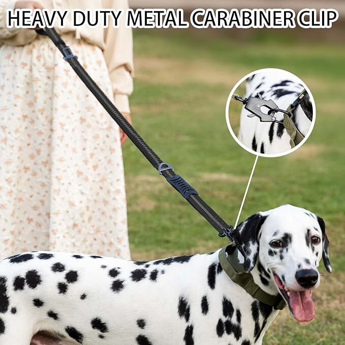 Yansıtıcı, Darbe Emici, Araba  - Bungee Dog Leash Shock Absorbing incelemesi ve fiyatı