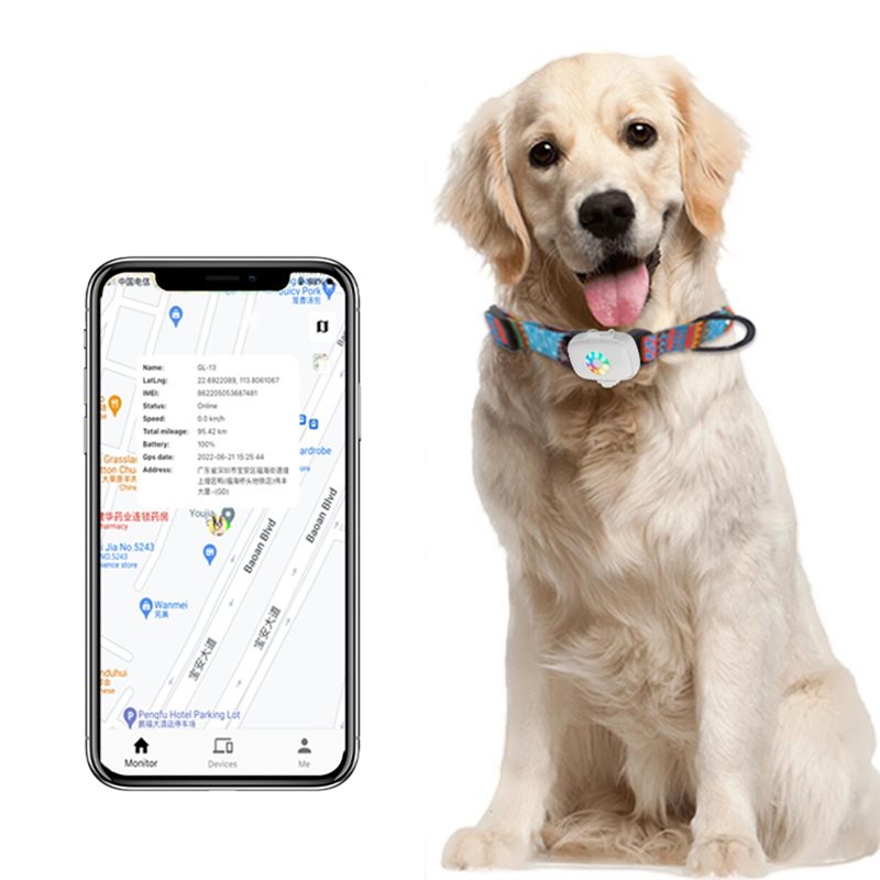 【OLARAK GELİŞMİŞ TİP】Gerçek Za - Dog Gps Tracker Collar 4G Waterproof incelemesi ve fiyatı