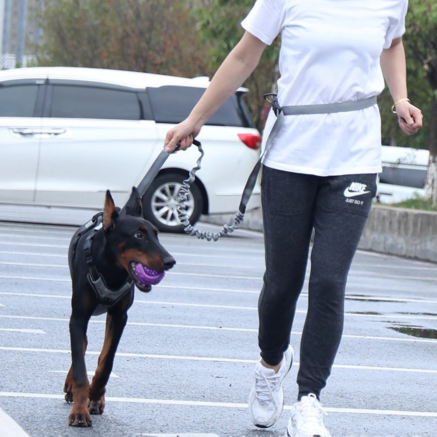Evcil Hayvan Yürüyüşü, Koşusu  - Hands Free Dog Running Leash Waist Belt incelemesi ve fiyatı