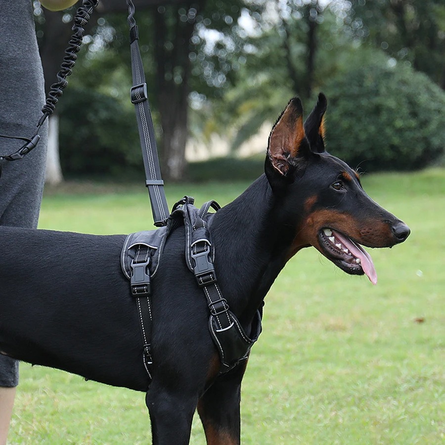Evcil Hayvan Yürüyüşü, Koşusu  - Hands Free Dog Running Leash Waist Belt incelemesi ve fiyatı