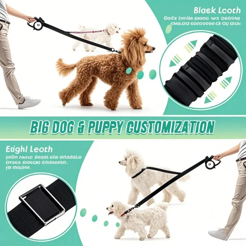 Darbe Emici, Esnek, Çift Tasma - Bungee Dog Leash Shock Absorbing incelemesi ve fiyatı