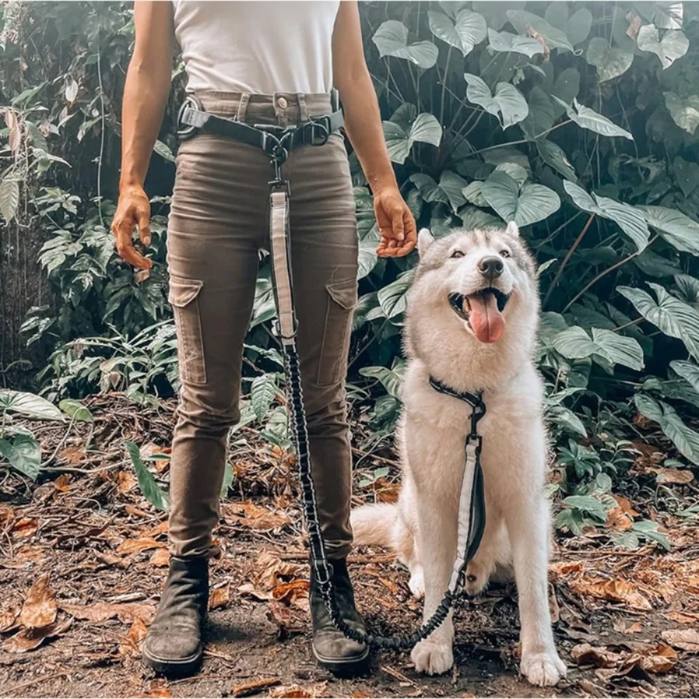 Evcil Hayvan Koşu Bel Çantası  - Hands Free Dog Running Leash Waist Belt incelemesi ve fiyatı