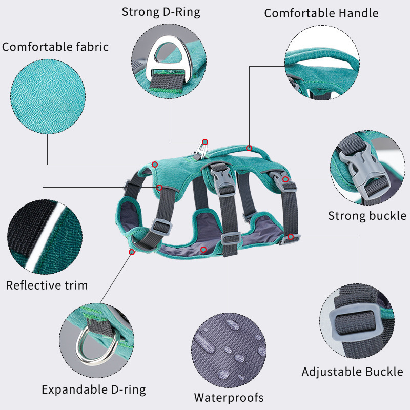 Yansıtıcı Yelek Tipi Darbe Emi - Bungee Dog Leash Shock Absorbing incelemesi ve fiyatı