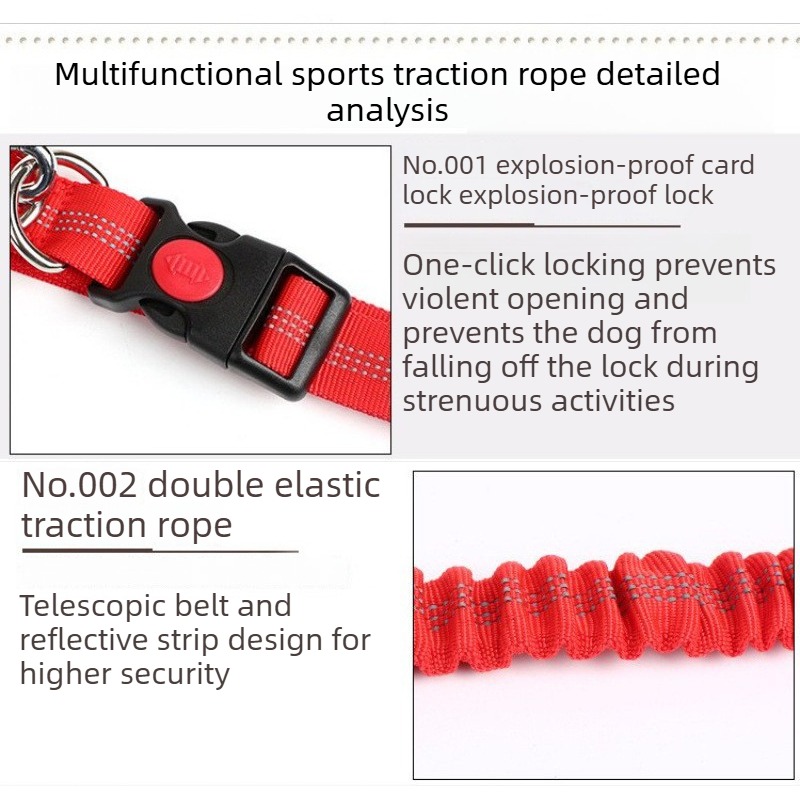 Ayarlanabilir Köpek Tasması Be - Hands Free Dog Running Leash Waist Belt incelemesi ve fiyatı