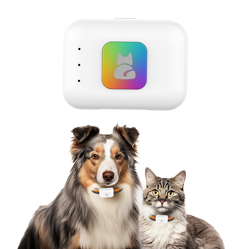 Renkli LED Işıklı Taşınabilir  - Dog Gps Tracker Collar 4G Waterproof incelemesi ve fiyatı
