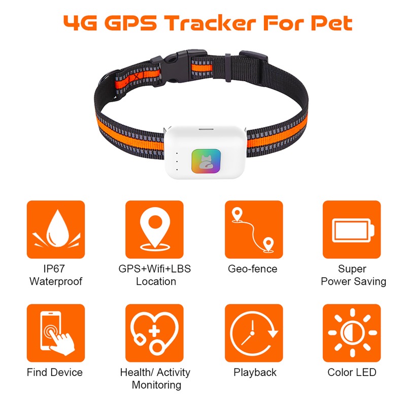 Renkli LED Işıklı Taşınabilir  - Dog Gps Tracker Collar 4G Waterproof incelemesi ve fiyatı