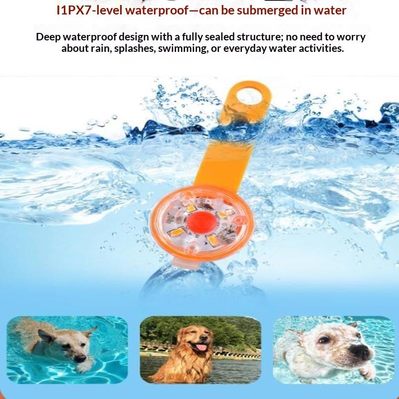 LED Evcil Hayvan Tasma Ucu, US - Led Dog Collar Glowing Rechargeable Usb incelemesi ve fiyatı