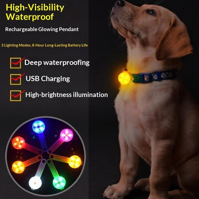 LED Evcil Hayvan Tasma Ucu, US - Led Dog Collar Glowing Rechargeable Usb incelemesi ve fiyatı