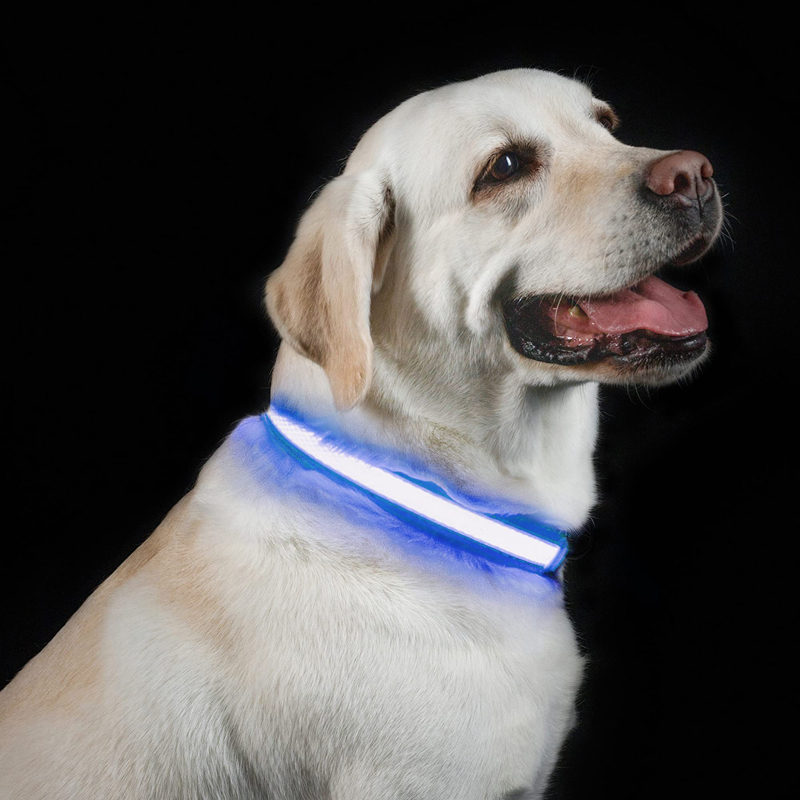 Benepaw LED köpek tasması USB  - Led Dog Collar Glowing Rechargeable Usb incelemesi ve fiyatı