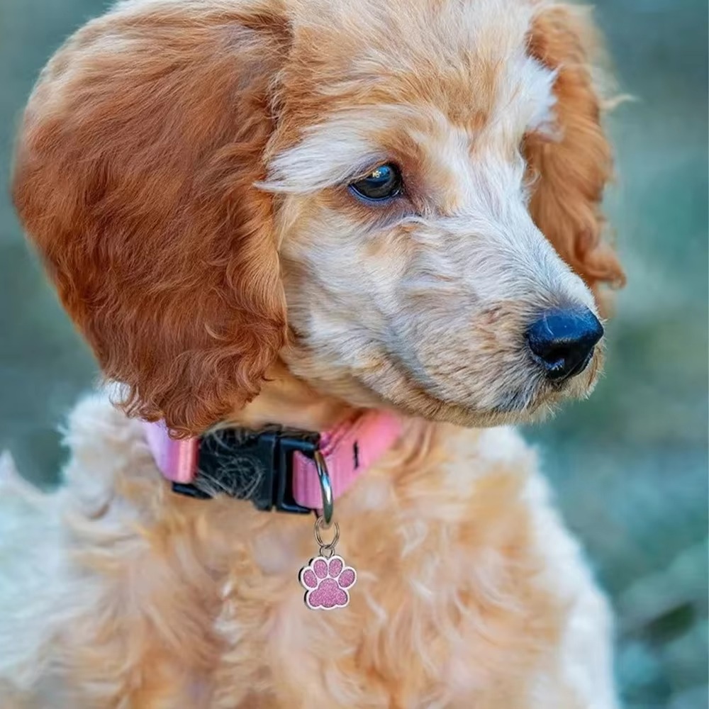 Kişiselleştirilmiş Evcil Hayva - Reflective Dog Collar Personalized Engraved incelemesi ve fiyatı