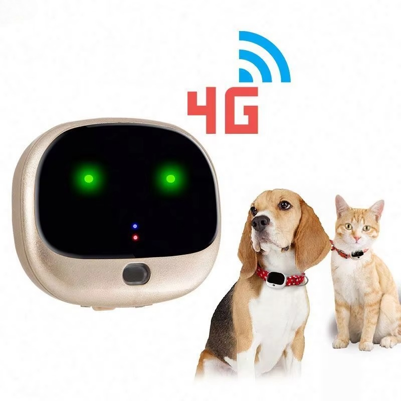 STLF3G GPS Sim Kartlı 4G İzley - Dog Gps Tracker Collar 4G Waterproof incelemesi ve fiyatı