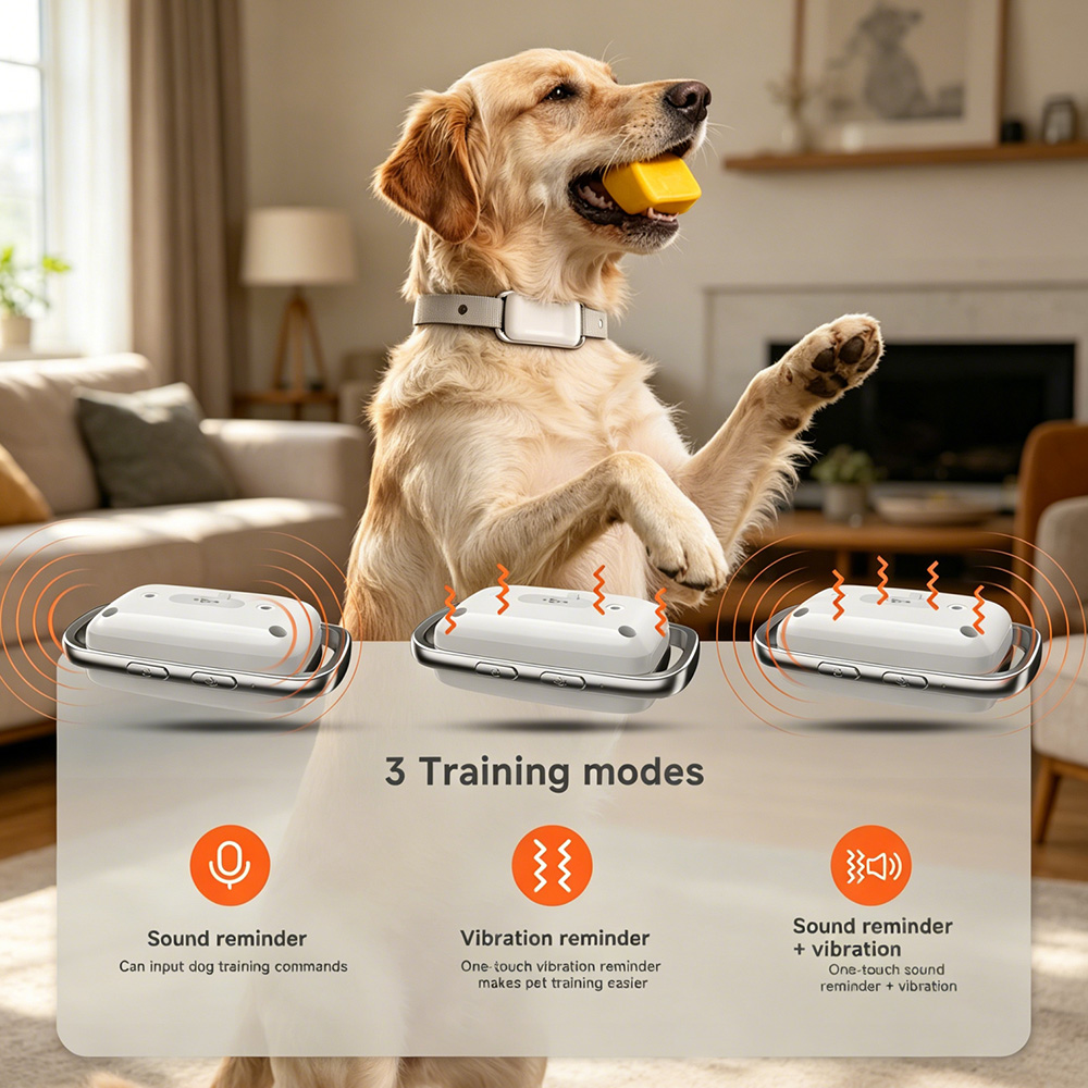 Şarj edilebilir 4G gerçek zama - Dog Gps Tracker Collar 4G Waterproof incelemesi ve fiyatı