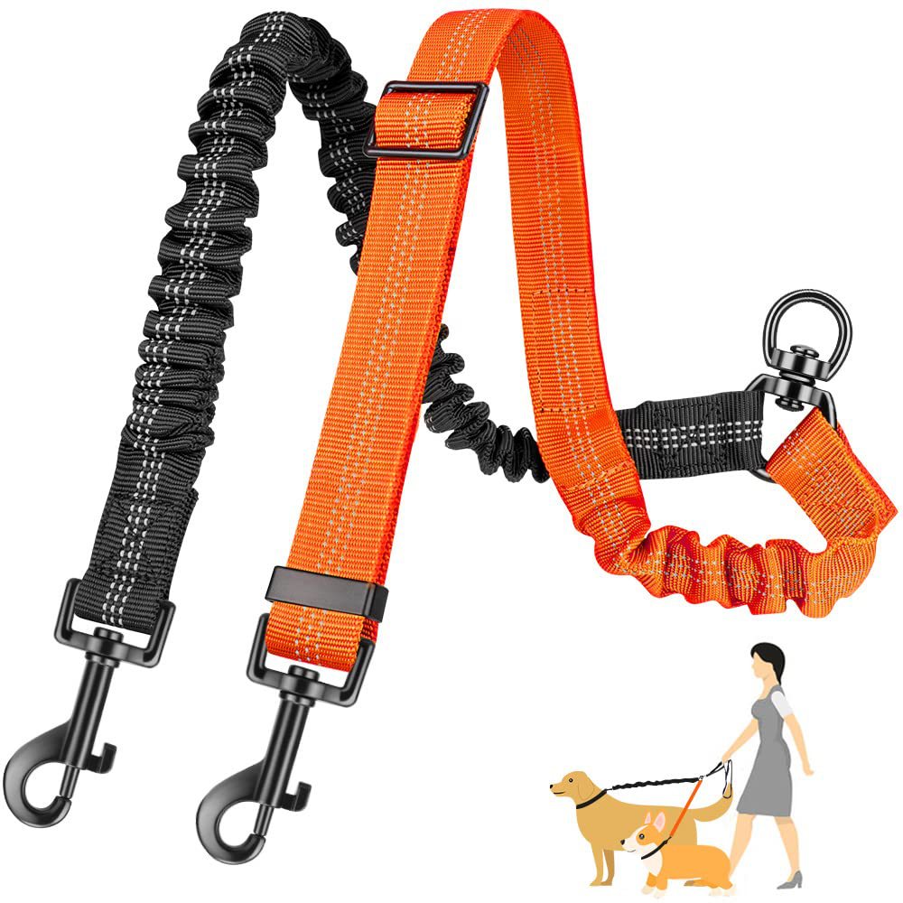 16ft Uzunlukta Çift Köpek Tasm - Bungee Dog Leash Shock Absorbing incelemesi ve fiyatı