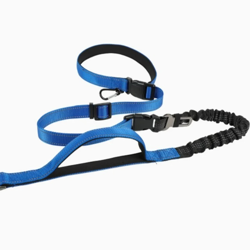 Şok Emici Bungee Eller Serbest - Bungee Dog Leash Shock Absorbing incelemesi ve fiyatı