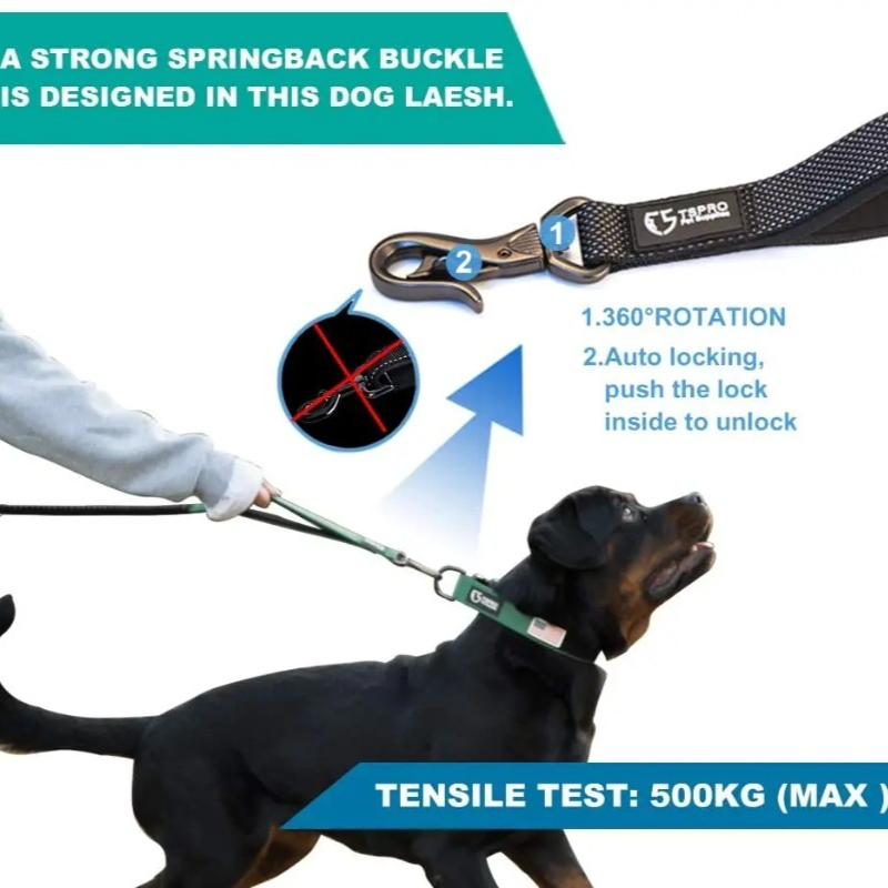 Şok Emici Bungee Eller Serbest - Bungee Dog Leash Shock Absorbing incelemesi ve fiyatı