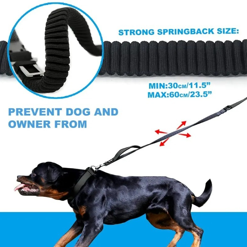 Şok Emici Bungee Eller Serbest - Bungee Dog Leash Shock Absorbing incelemesi ve fiyatı