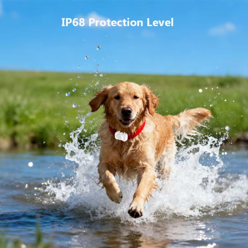 Yeni Su Geçirmez Akıllı GPS 4G - Dog Gps Tracker Collar 4G Waterproof incelemesi ve fiyatı