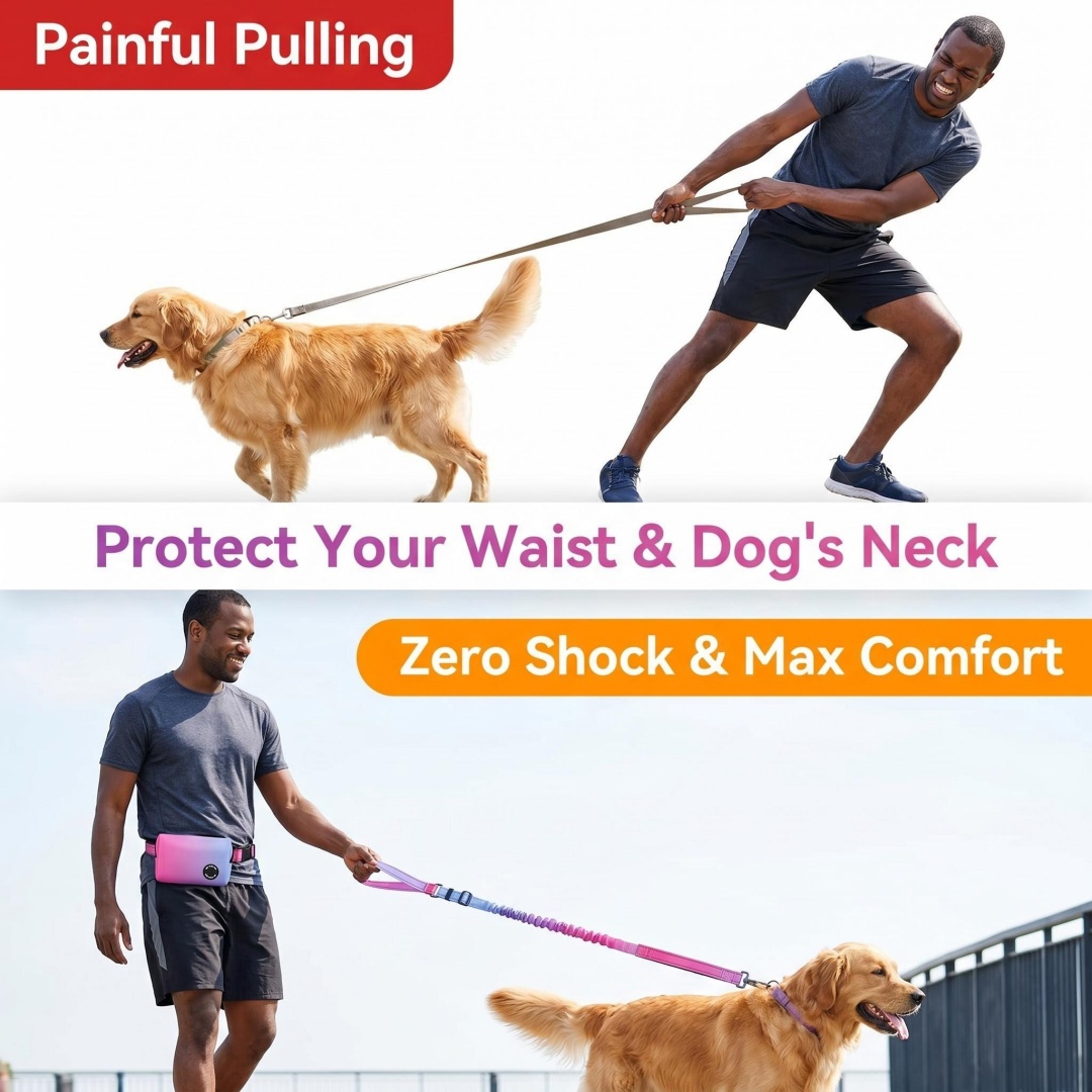 Degrade Renkli Eller Serbest K - Bungee Dog Leash Shock Absorbing incelemesi ve fiyatı
