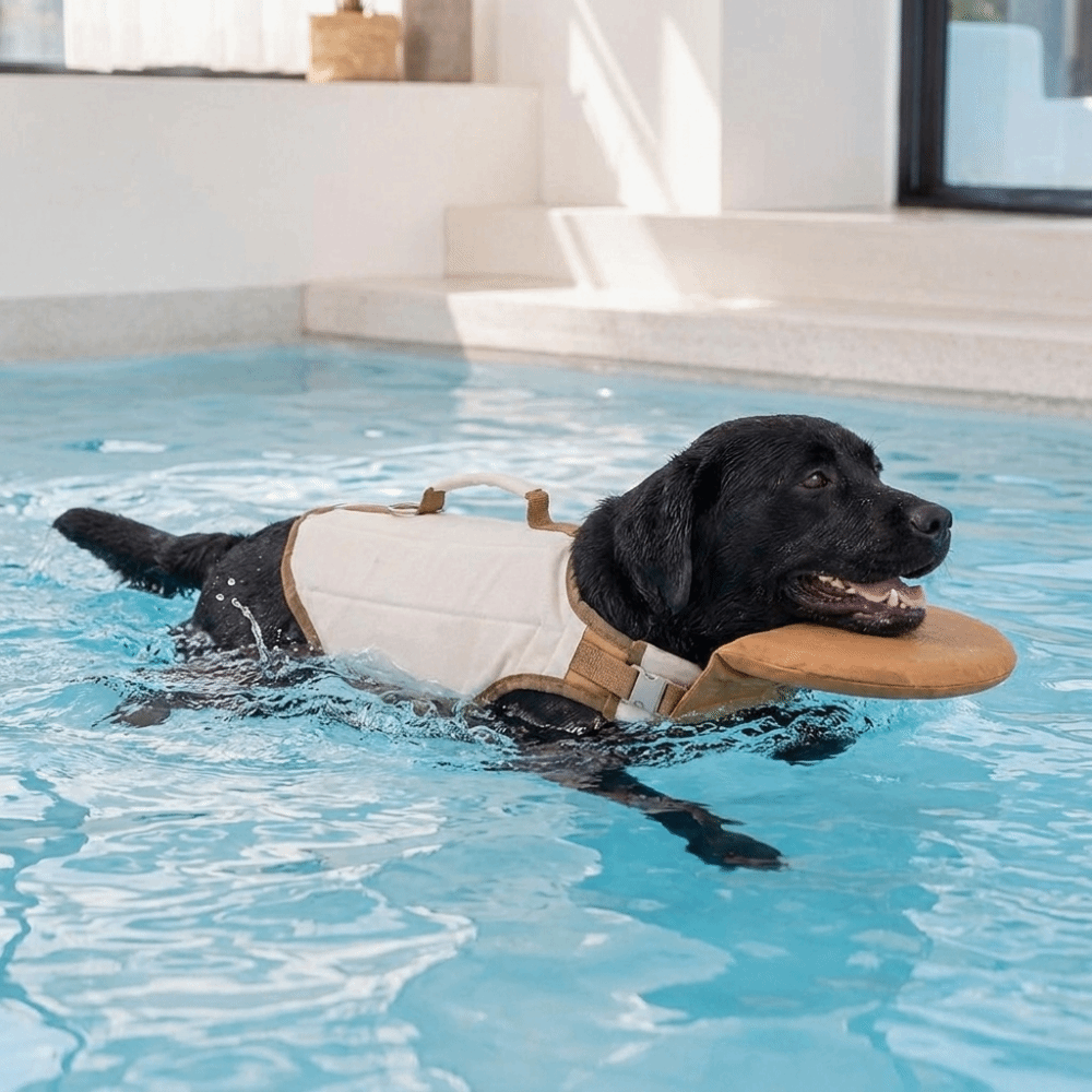 Ayarlanabilir Köpek Can Yeleği - Dog Life Jacket Vest Buoyancy Handle incelemesi ve fiyatı