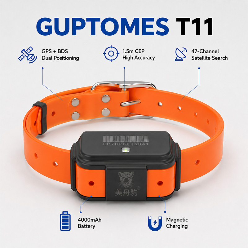 T11 4G GPS Köpek İzleyici Av K - Dog Gps Tracker Collar 4G Waterproof incelemesi ve fiyatı