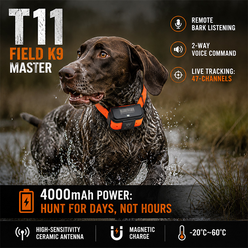 T11 4G GPS Köpek İzleyici Av K - Dog Gps Tracker Collar 4G Waterproof incelemesi ve fiyatı