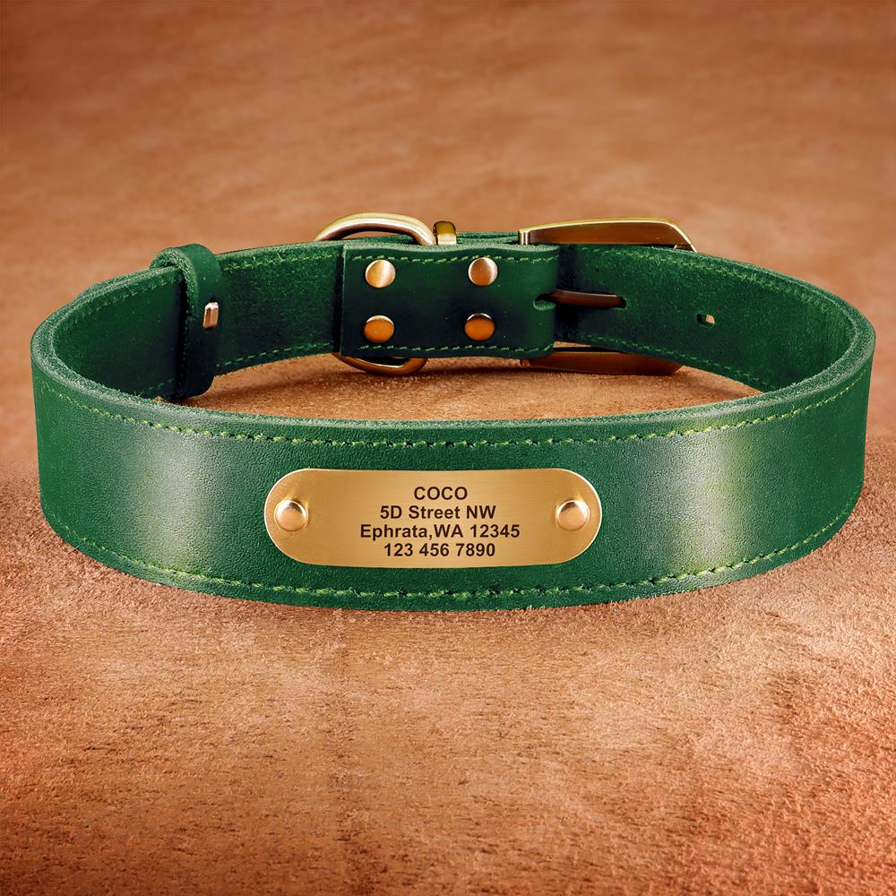 Özel Deri köpek tasması Pitbul - Reflective Dog Collar Personalized Engraved incelemesi ve fiyatı