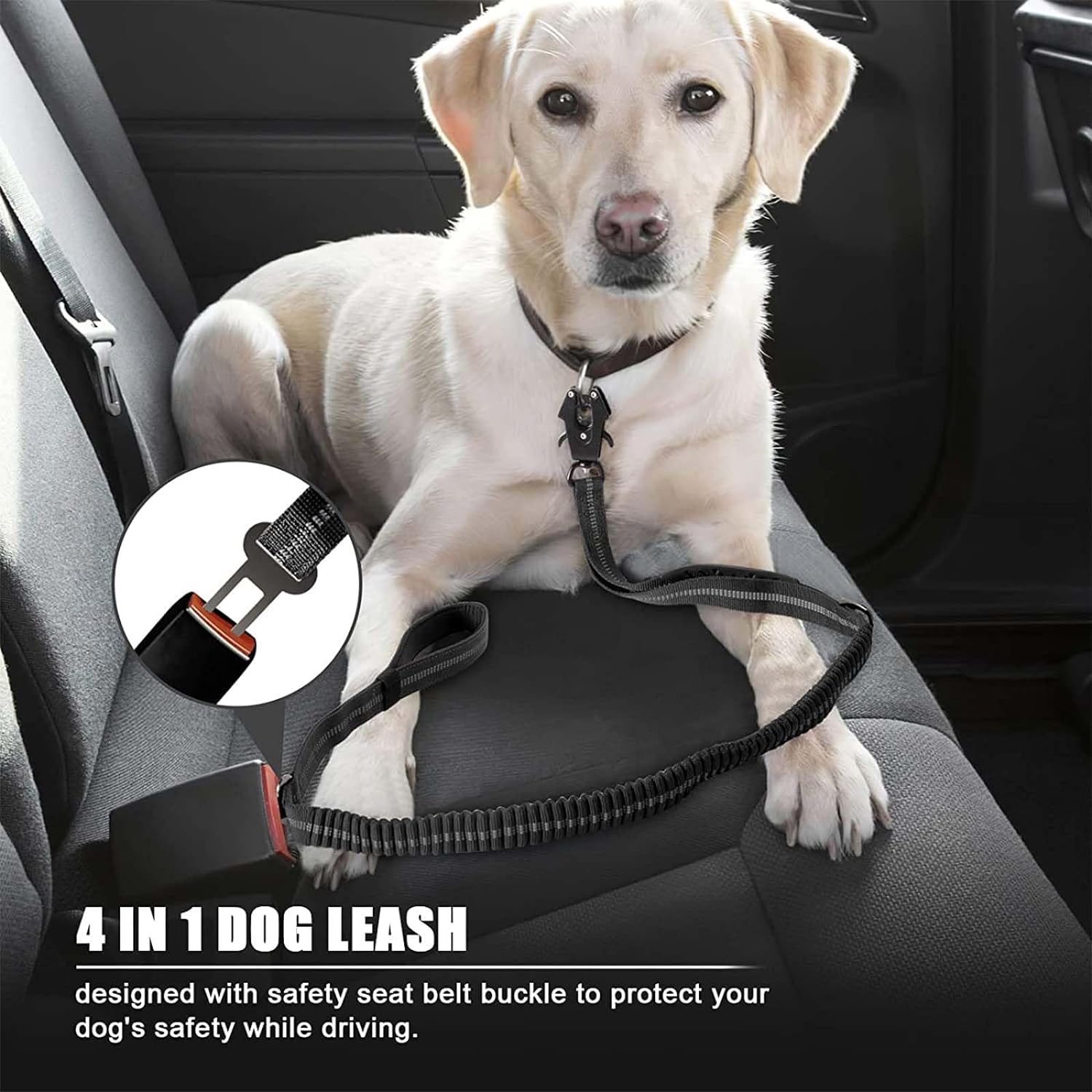Yansıtıcı Şok Emici evcil hayv - Bungee Dog Leash Shock Absorbing incelemesi ve fiyatı
