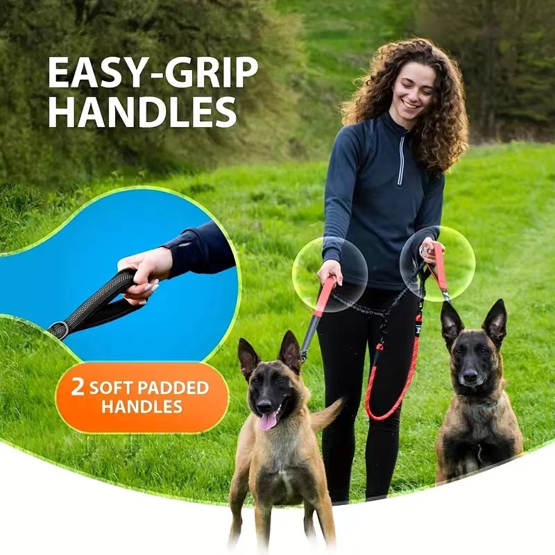 Çift Köpek Tasma Bağlayıcı - K - Bungee Dog Leash Shock Absorbing incelemesi ve fiyatı