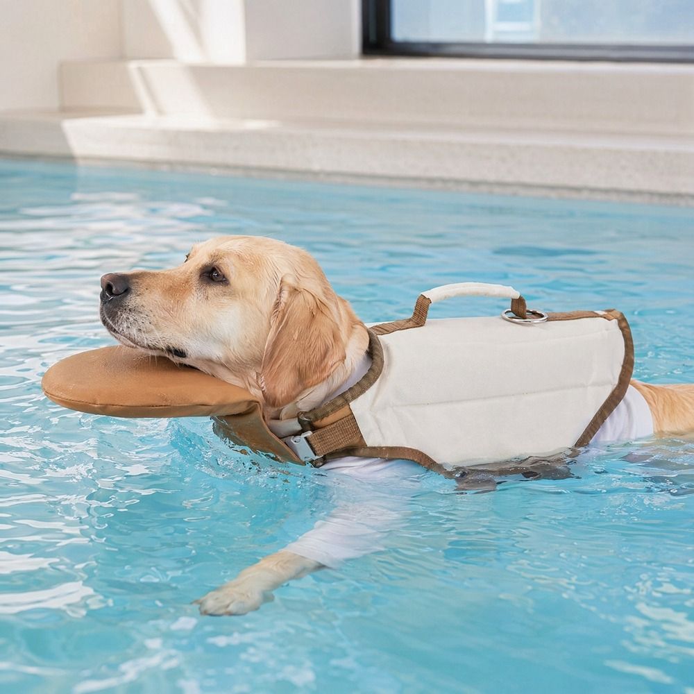 Ayarlanabilir Köpek Can Yeleği - Dog Life Jacket Vest Buoyancy Handle incelemesi ve fiyatı
